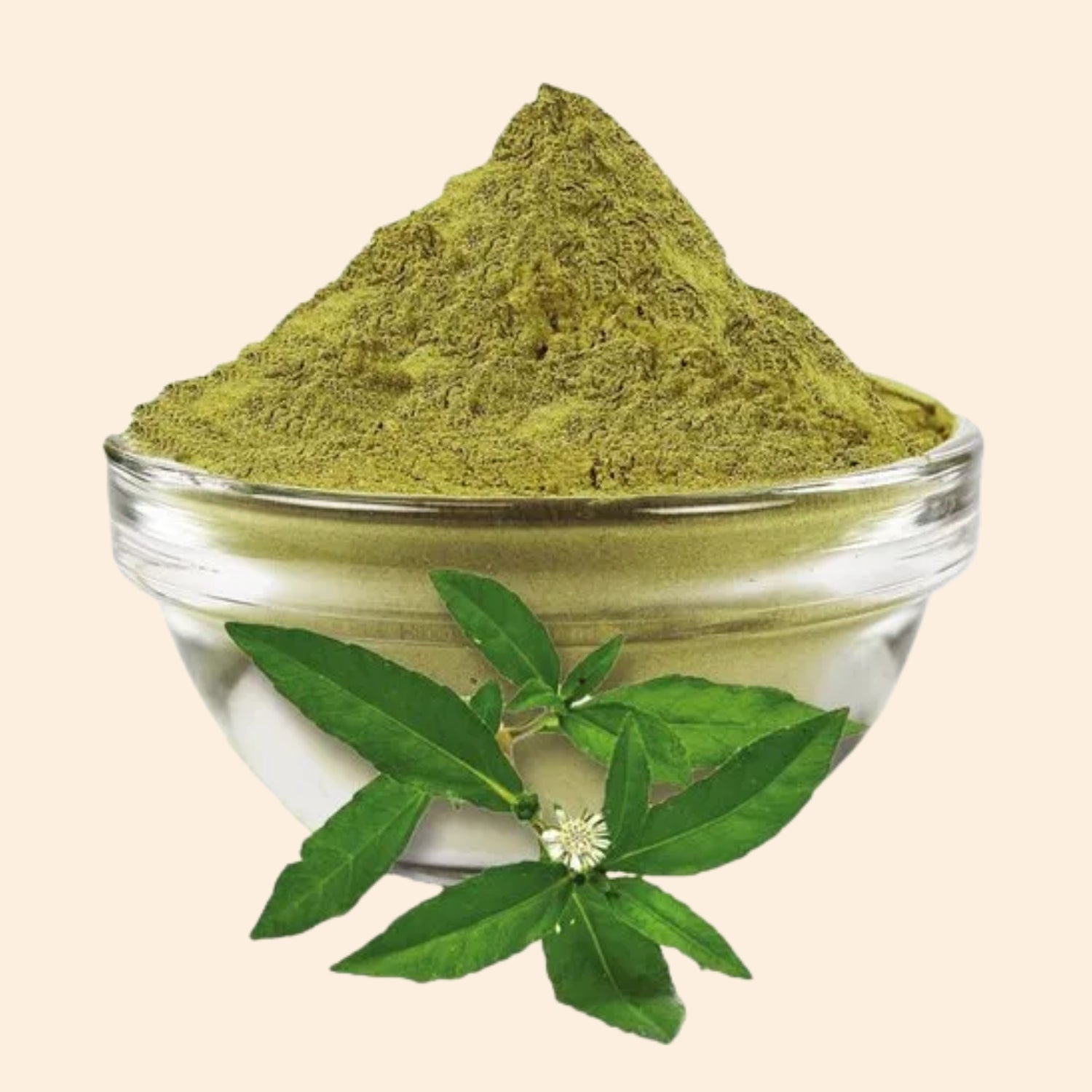 Bhringraj Powder Bhringraj Powder